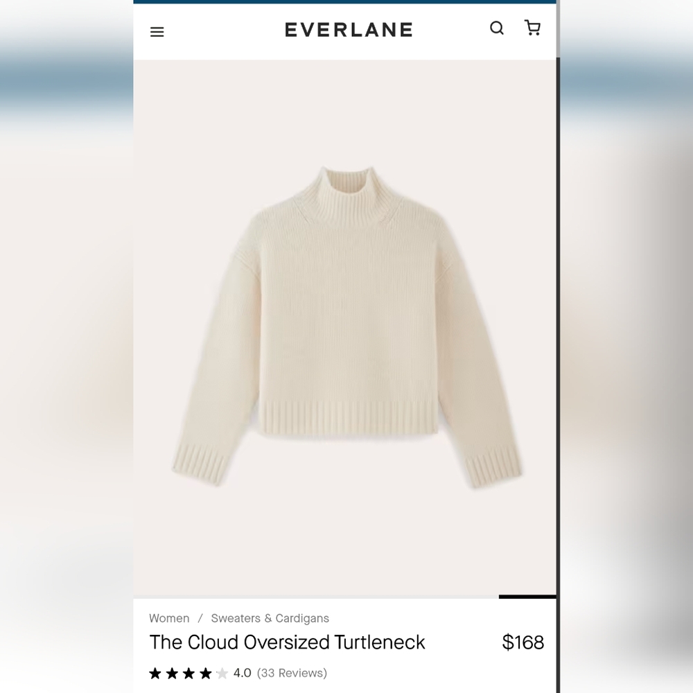 Everlane The Cloud Oversized Sweater